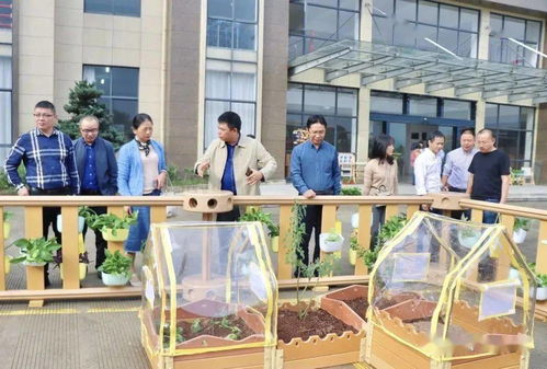 貝瑪教育 麗水市學前教育專家實地參觀指導，共促教育發展